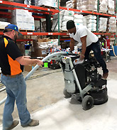 Team members